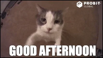 https://i.giphy.com/media/hvfDsDi48kWAufPxaS/giphy.webp