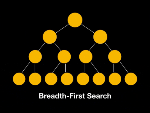 Depth First Search with recursion and stack