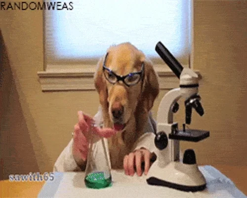 giphy.webp