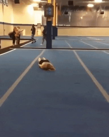 Gif del Artículo