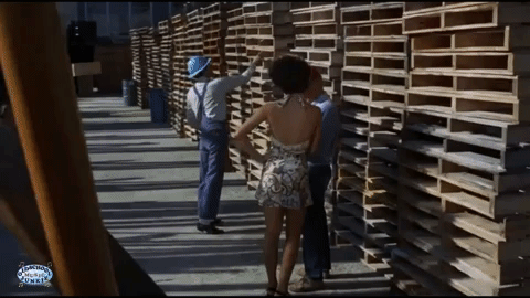giphy-downsized-large.gif
