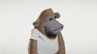 https://i.giphy.com/media/l0HlGd1H6XkdlfjZS/200w.gif