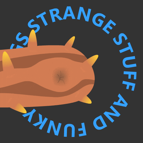 Sea Cucumber Pearlfish GIF GIF Animado MISTERGIF