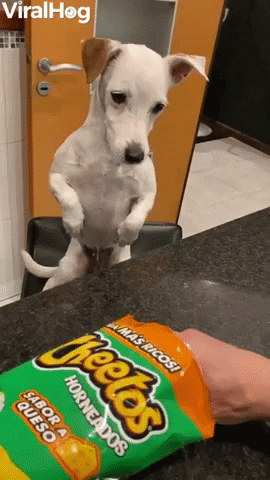 Gif del Artículo