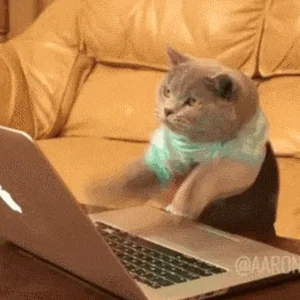 giphy.webp