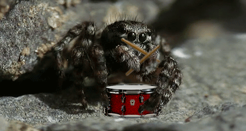 source.gif