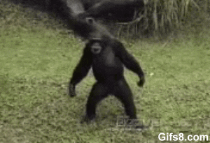 https://i.giphy.com/media/uZ213GoIw54Yg/giphy.gif