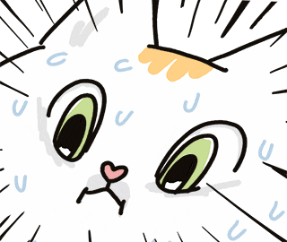 Cat Panic