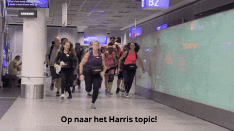 giphy.gif