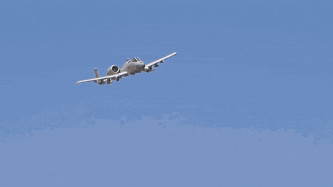 giphy.gif