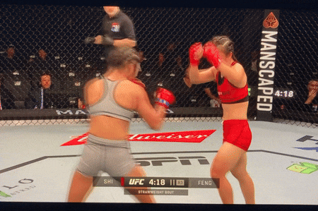giphy.gif