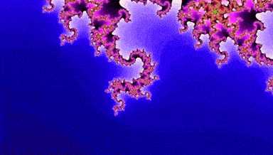 giphy-downsized-large.gif