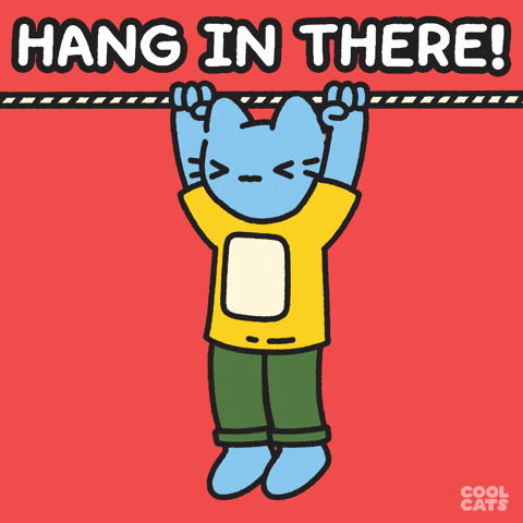 giphy.gif