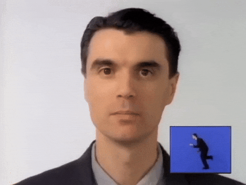 giphy.gif