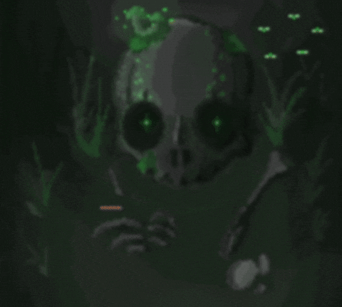 giphy.gif