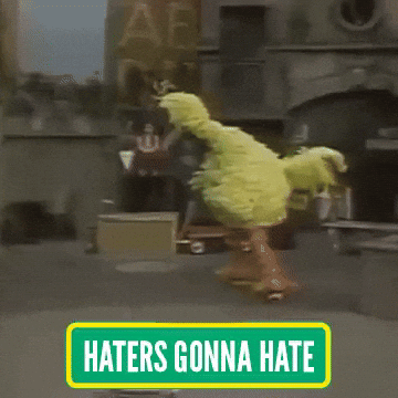 Big Bird Flying