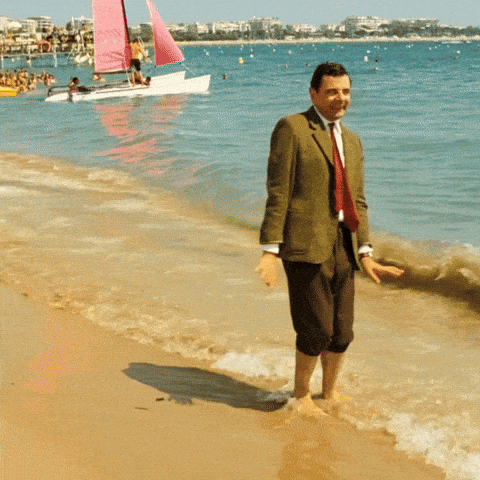 giphy-downsized-large.gif