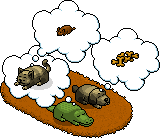 Habbo pets