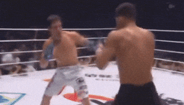 giphy-downsized-large.gif