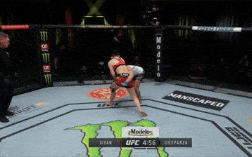 giphy-downsized-large.gif