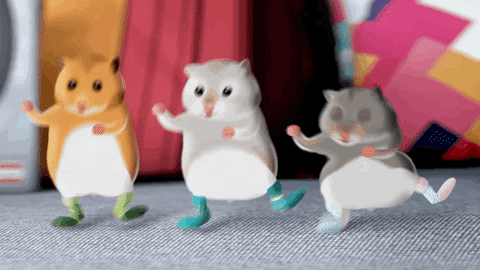 giphy.gif