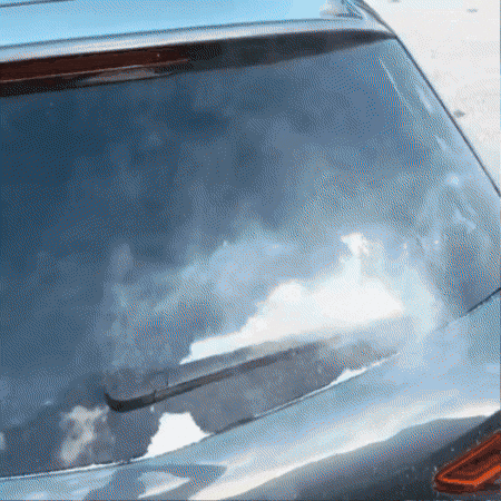 GIF animado mostrando un contenido visual divertido