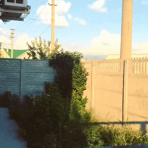giphy-downsized-large.gif