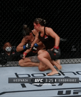 giphy.gif