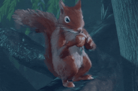 giphy.gif