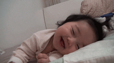 GIF Animado