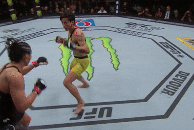 giphy.gif