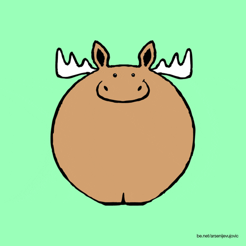 GIF animado (xT4uQ6x9Dq5lvGJUgE) animation zoo