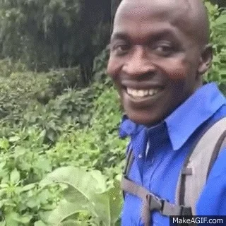 giphy.webp