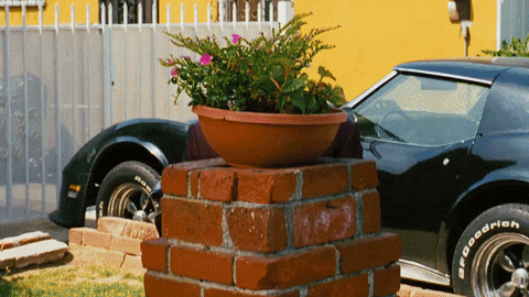Creepy GIF - Find &amp;amp;amp; Share on GIPHY