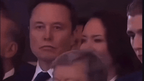 Elon Musk staring at you