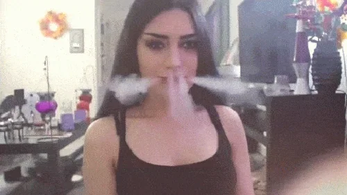 tIwqmLZDYSaZyEEslc.webp