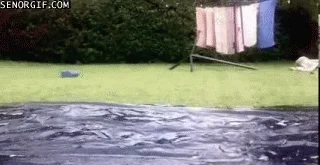 https://i.giphy.com/uW7DvvI4nosbS.webp