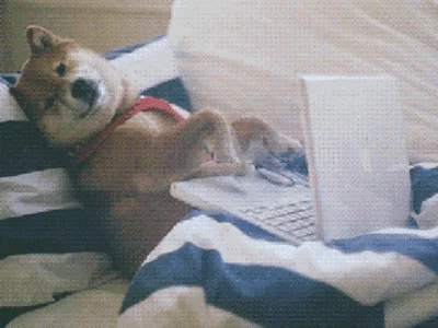 A doggy in bed typing - kind of - on a laptop