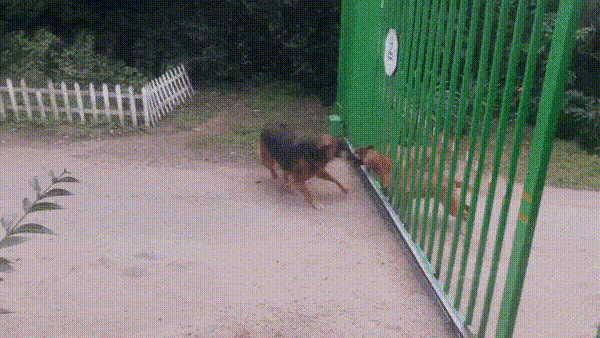 Internet GIF - Find & Share on GIPHY 