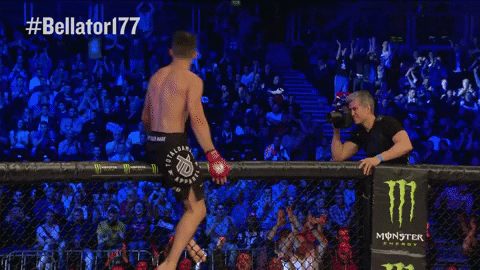 Bellator GIF - Find & Share on GIPHY