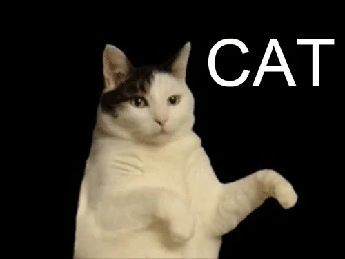 spooky gif