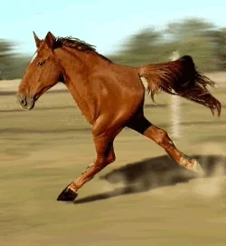 xqBpxjk7CXLtm.webp