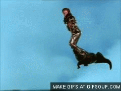 zHR1SA2Mqeq7S.gif