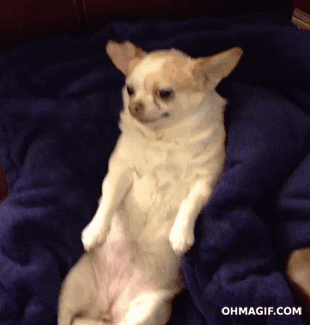 zflvXsJg0GjUQ.gif