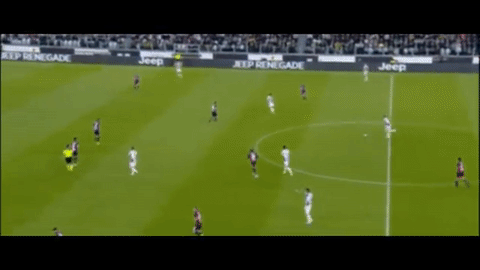 zoIRVSnPdH94c.gif